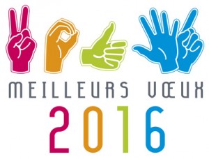 MEILLEURS VUX 2016 mains langage des sourd rebus 5